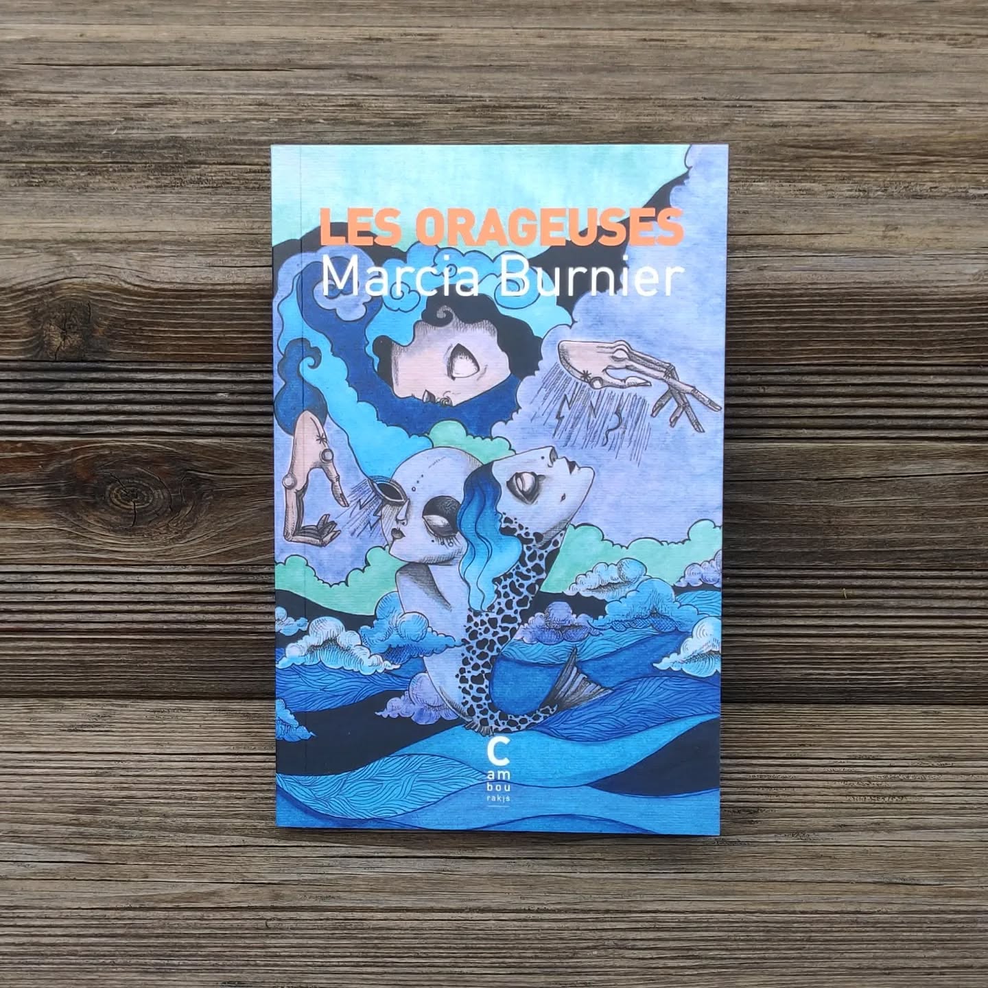 📚 Les Orageuses - Marcia Burnier 📚 Publié aux éditions Cambourakis, Les Orageuses évoque le douloureux sujet du viol et la difficulté de la reconstruction. La solitude, la rage, le doute, la peur. Face à une justice inefficace, pour ne pas dire indifférente, un gang de filles décide que cette peur doit changer de camp... « On dit pas vengeance, lui avait dit Mia, c'est pas la même chose, là on se répare, on se rend justice parce que personne d'autre n'est disposé à le faire. » #book #bookstagram #read #bookreview #igbooks #booklover